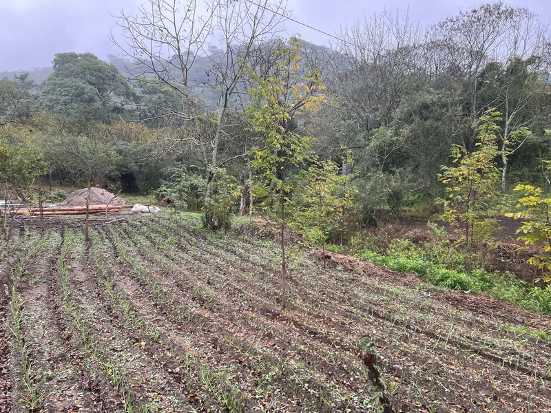 La huerta de la finca