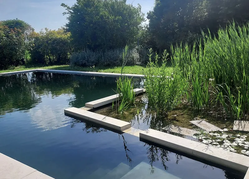 Piscina natural rodeada de plantas