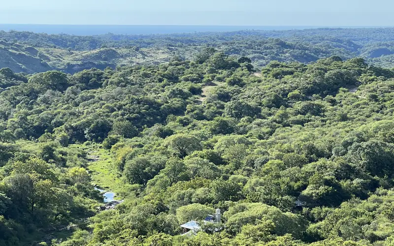 El bosque nativo de Los Cebiles desde el aire, con el arroyo entre los árboles