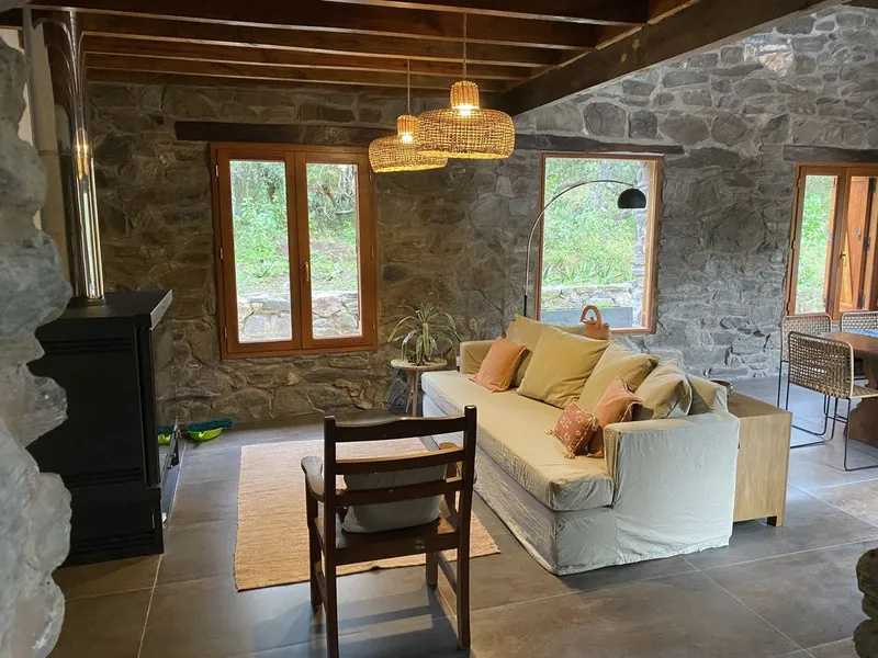 El living de la casa con ventanas al bosque